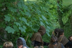 Robin01