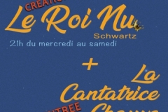Affiche Roi nu